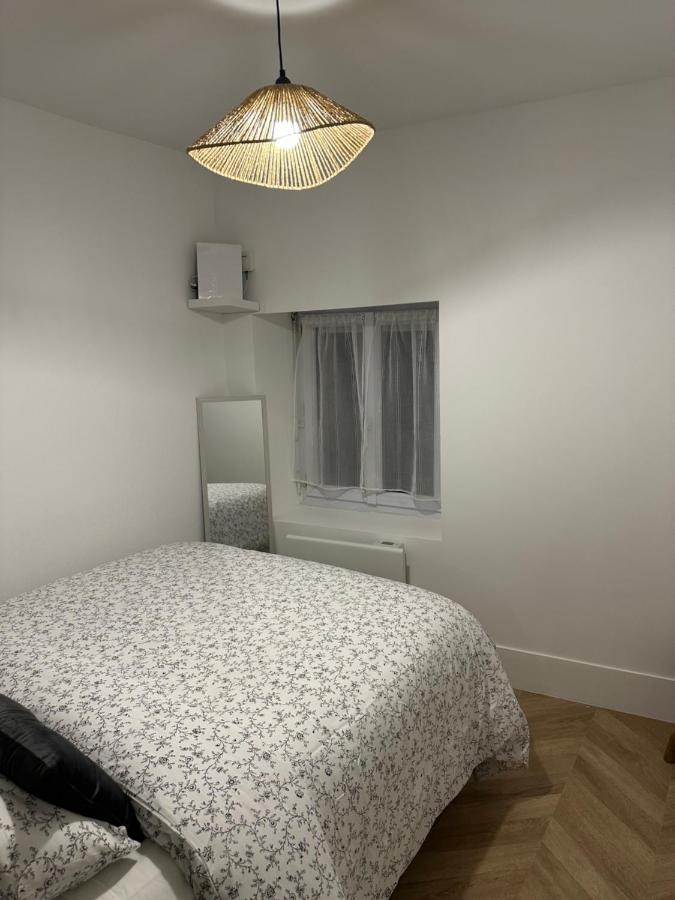 Appartement Haut Standing Orléans Eksteriør billede